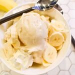 Ninja Creami Vanilla Chia Seed Ice Cream Recipe
