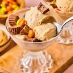 Ninja Creami Blueberry Acai Sorbet Recipe