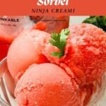 Ninja Creami Blueberry Acai Sorbet Recipe